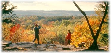 Insurance and annuity quotes